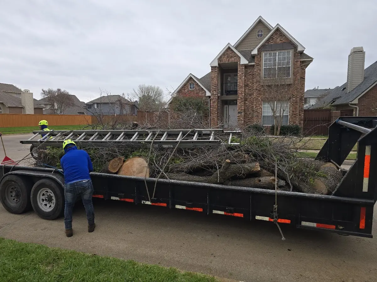 Expert Tree Fertilization with proper safety equipment in Smoketown
